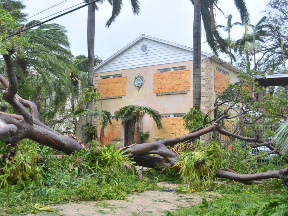 Hurricane Irma destruction in Miami