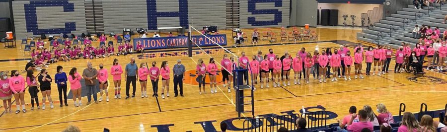 Pink Out Night Brings in a Win for the Lions