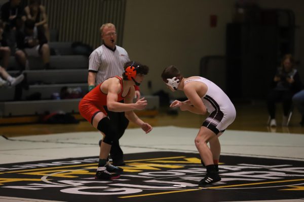 Lions Wrestle Win from Carmi-White County