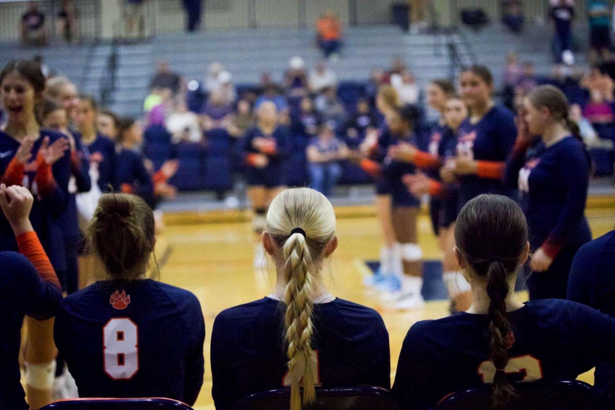 Lions Volleyball Takes Two Losses Wednesday Night