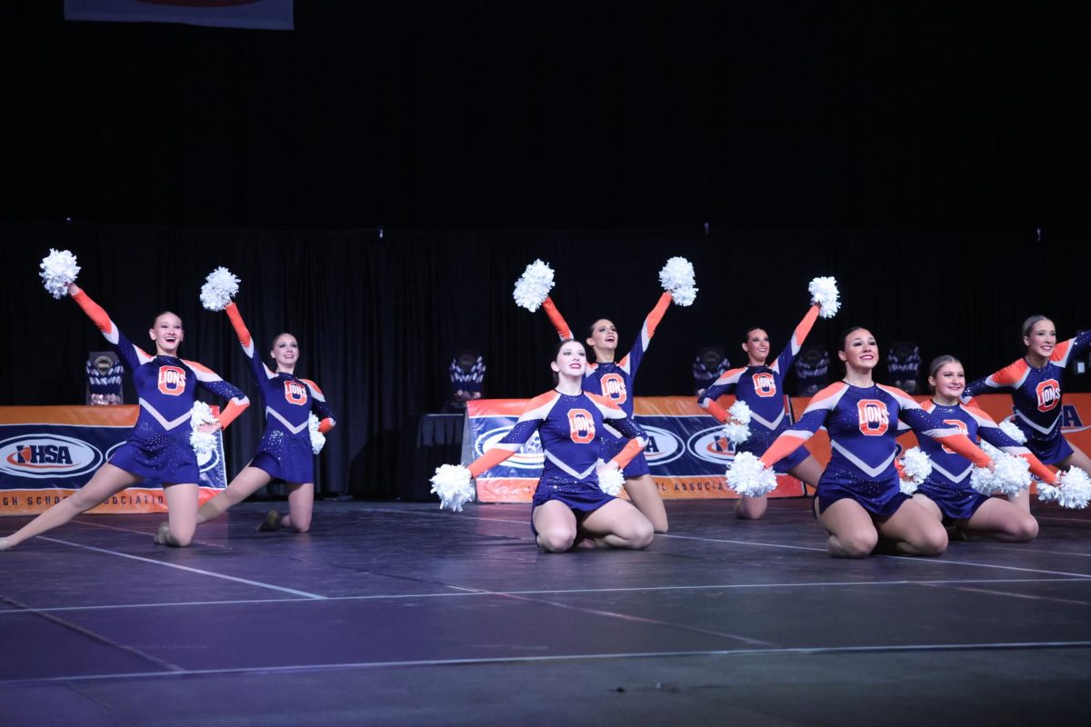 The dance team hits their final pose in their pom routine at IHSA State.