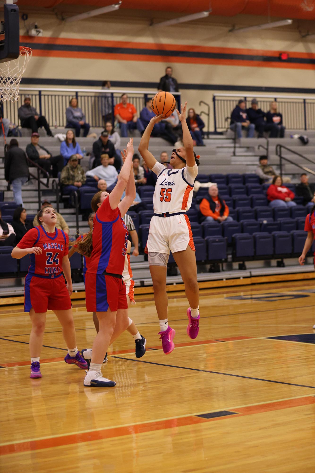 Lions Fall in Double OT